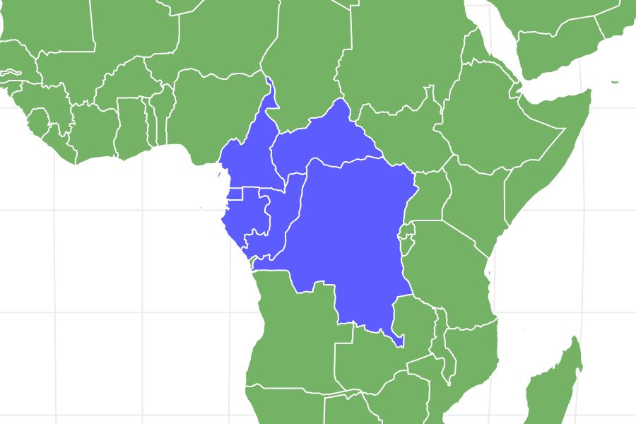 African Forest Elephant Locations