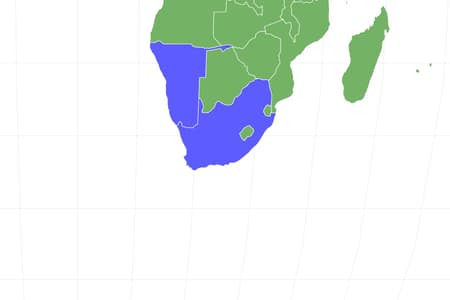 African Penguin Locations
