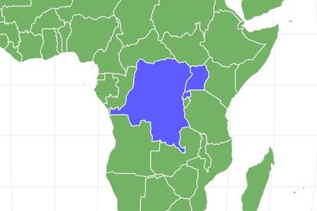 Eastern Gorilla Locations