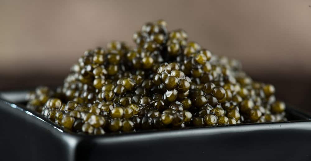 A close-up of Beluga Sturgeon caviar displayed on a black dish.