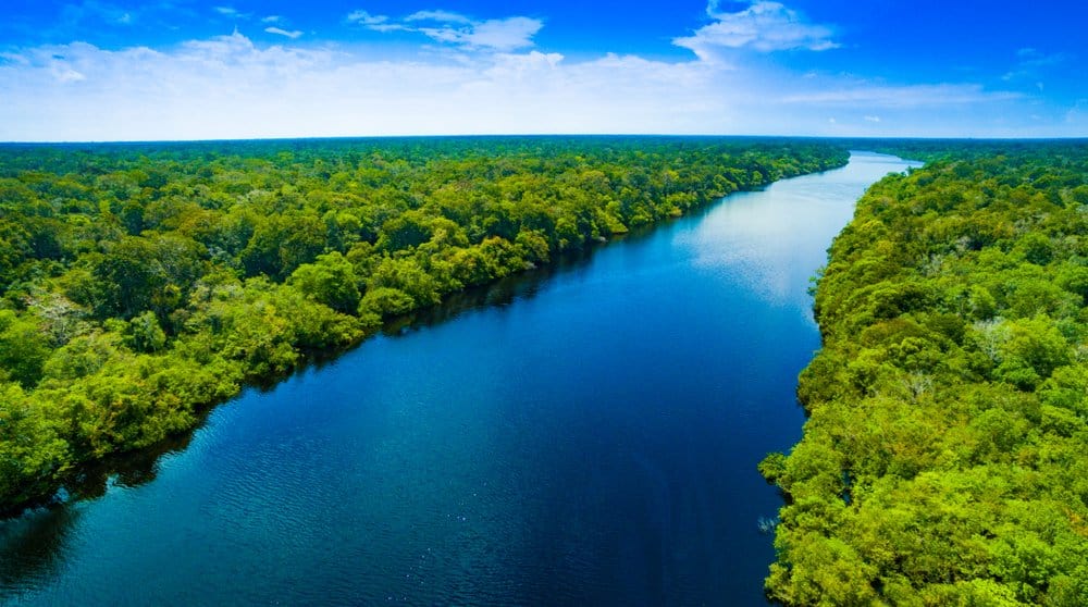 A wide river cutting through a green forest with white clouds in a blue sky.