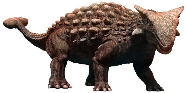 ankylosaurus type dinosaurs