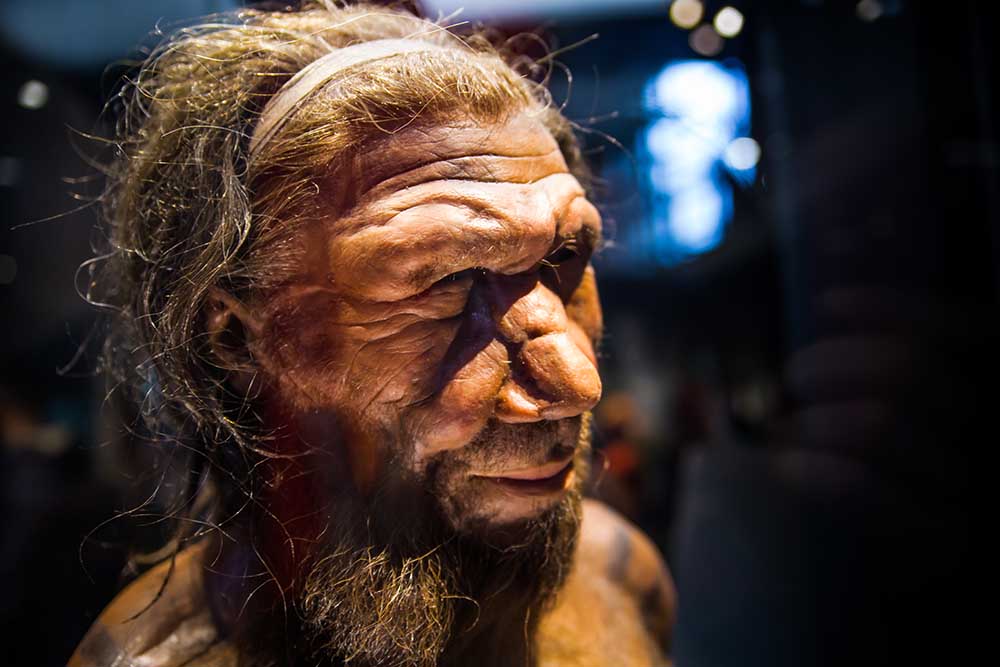 The face of a model neanderthal.