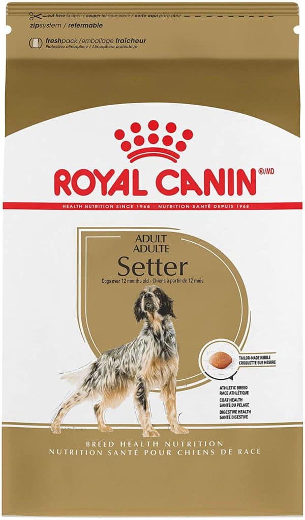what is the best dog food for great danes