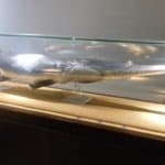 Chinese paddlefish