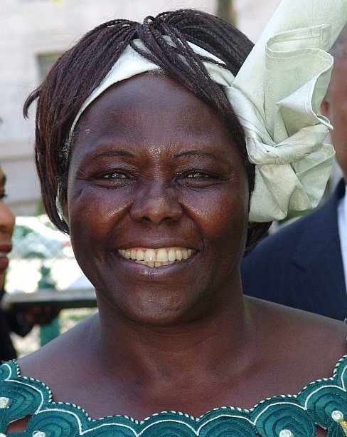 Famous Conservationists: Wangari Maathai