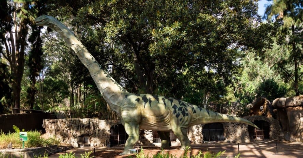 Biggest Animal Ever to Walk the Earth: Argentinosaurus