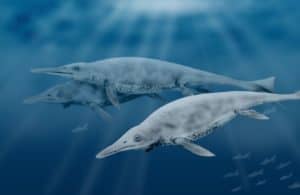 Biggest Animals Ever to Walk the Earth: Shastasaurus