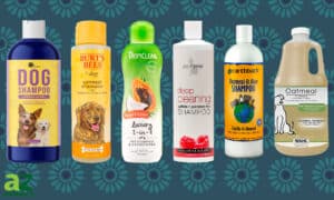 We Found the 7 Best Dog Shampoos: Reviewed Picture