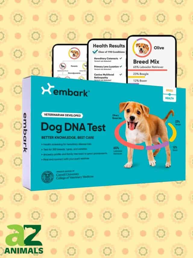 Our Top Choices for the Best Dog DNA Test Kits