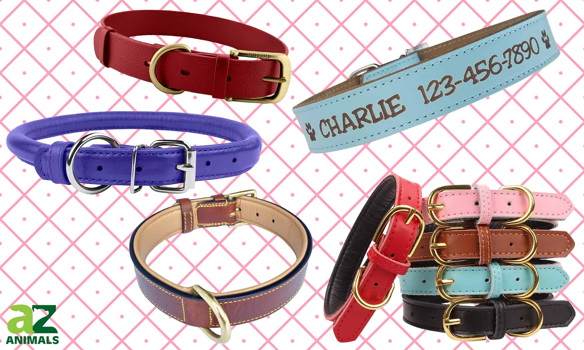 The Top 4 Best Leather Dog Collars: Reviewed for 2021