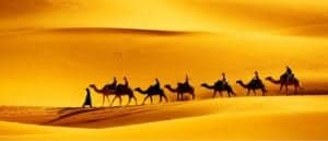 The 10 Most Amazing Desert Animals photo