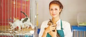 The Top 10 Most Fun Jobs With Animals Picture