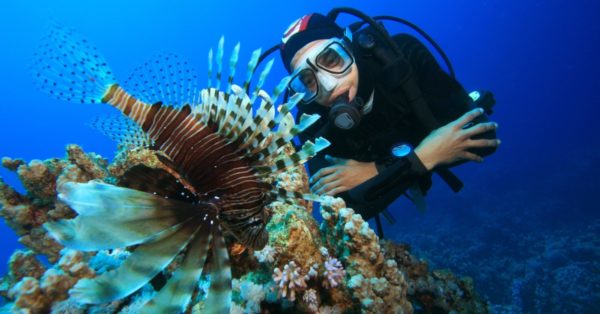 The Top 10 Most Fun Jobs with Animals - AZ Animals