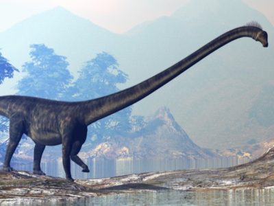 A Top 10 World’s Largest Dinosaurs Ever
