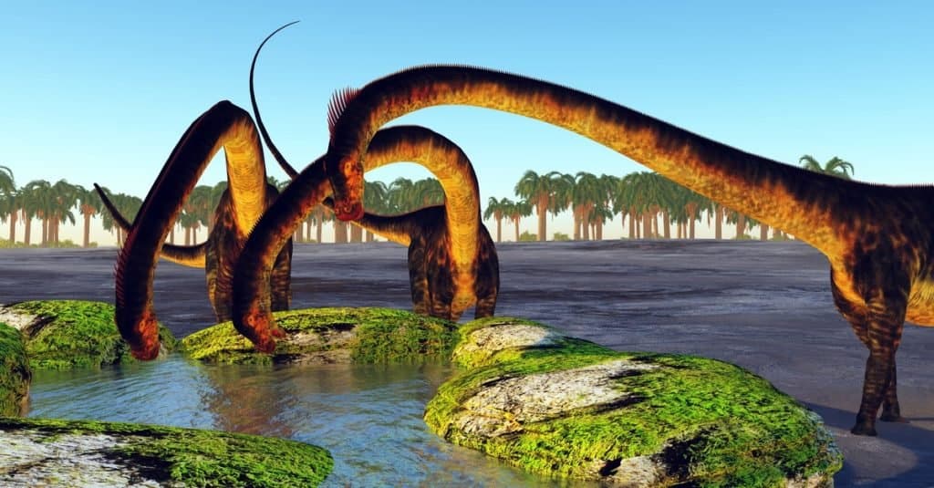 Largest Dinosaurs Ever: Barosaurus lentus