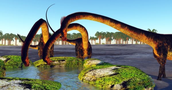 the largest dinosaurs to have ever lived