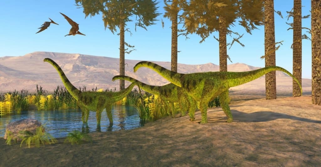 Largest Dinosaurs Ever: Puertasaurus reuili