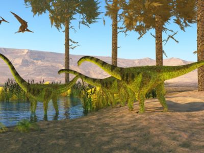 A Meet The Colossal Dinosaur That’s Hard to Imagine