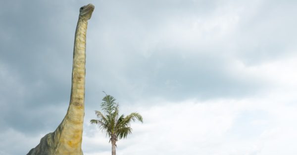 the largest dinosaurs to have ever lived