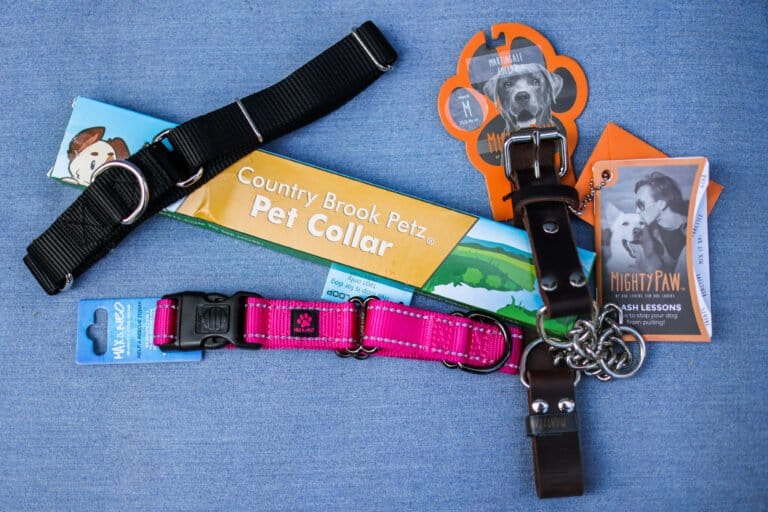 a variety of dog collars we tried and love