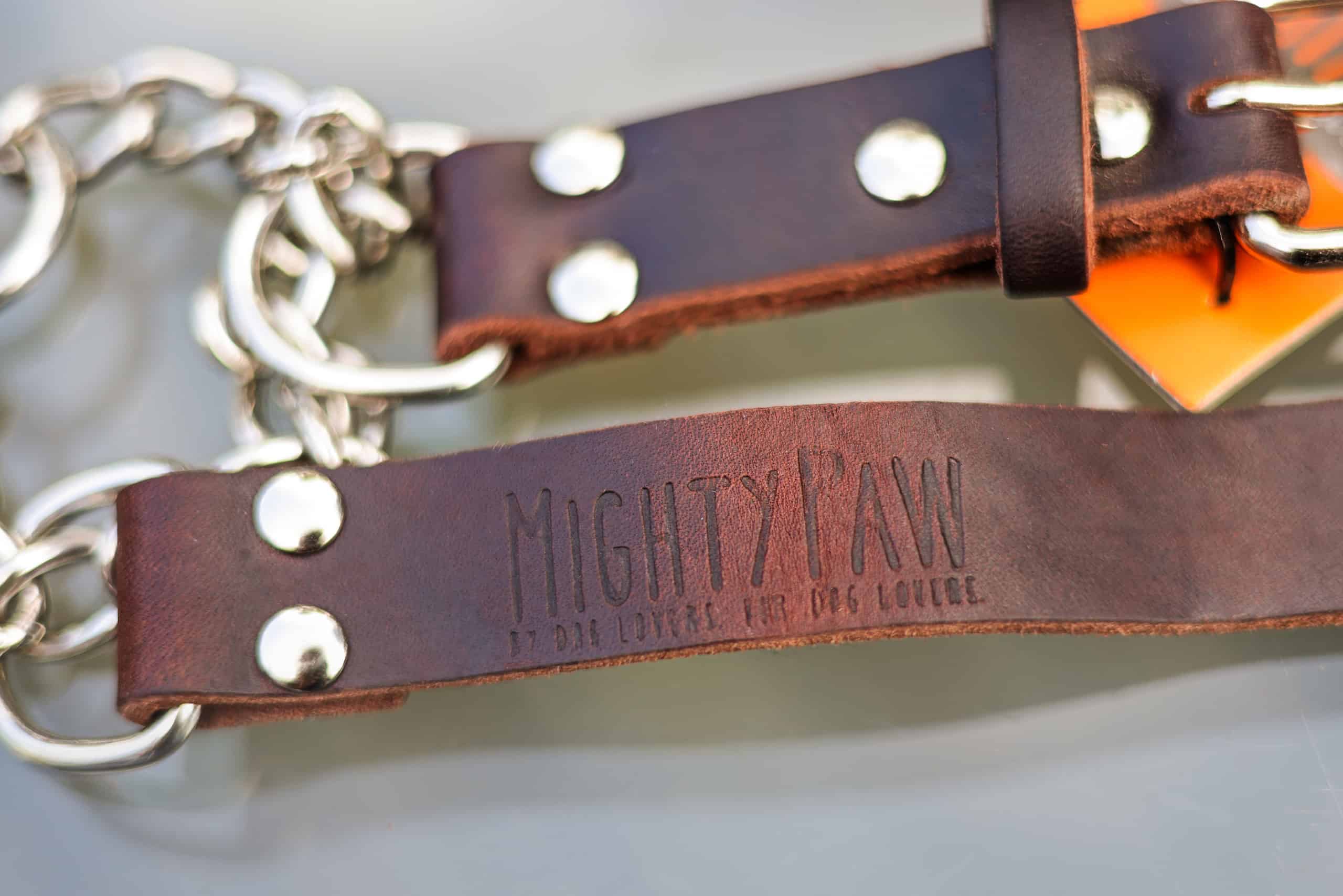 Close up of the Mighty Paw leather martingale training collar