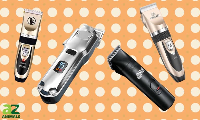 Dog Clippers