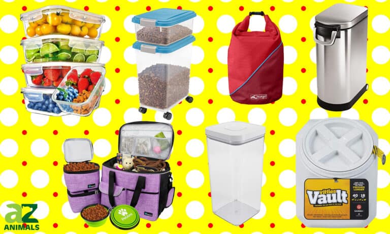 Dog Food Containers