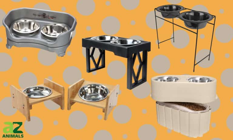 Dog Bowl Stand