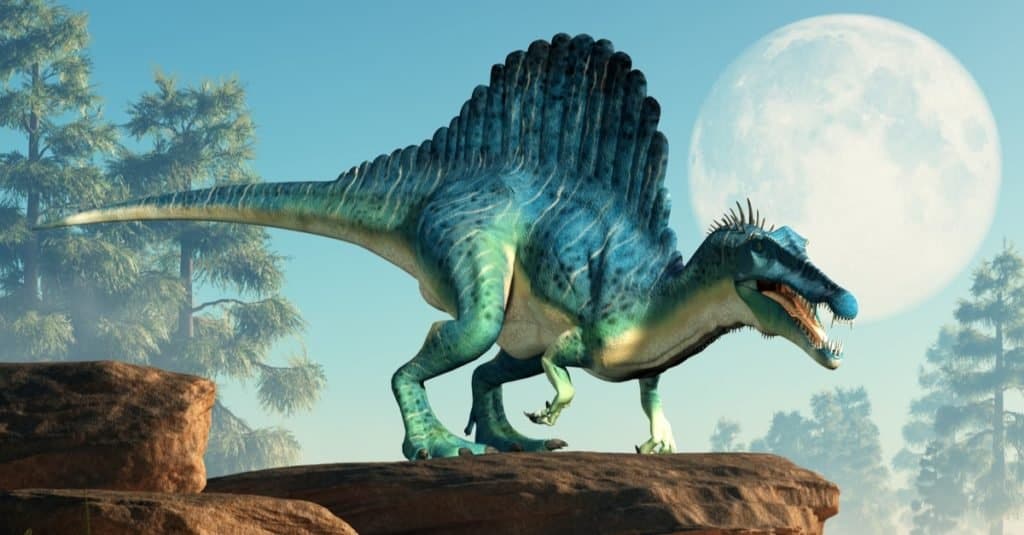 Gigantosaurus vs Spinosaurus