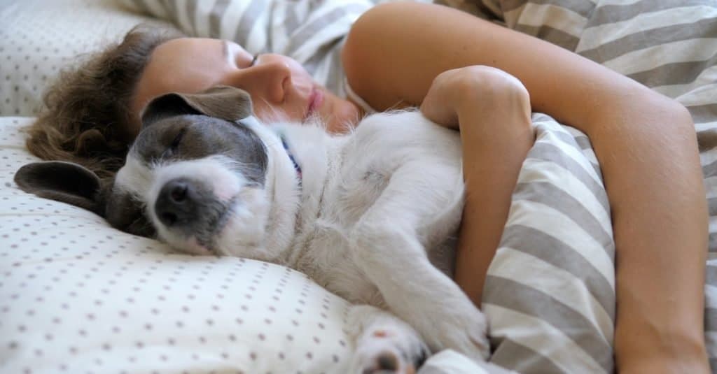 A woman hugs her dog in bed