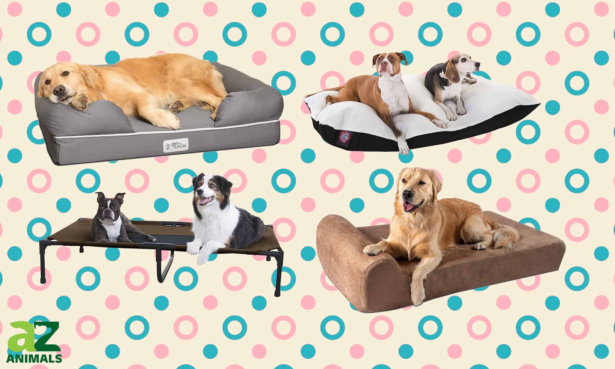 The Best Large Dog Beds: Updated - A-Z Animals