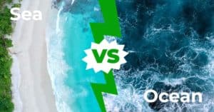Sea vs Ocean: The Key Differences Picture