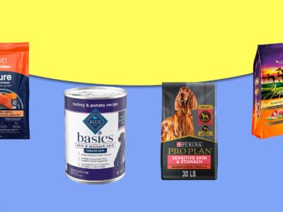 A The 4 Best Dog Food for Allergies (Adult, Puppy, Senior)