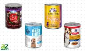 Best Wet Dog Food, We Checked Picture
