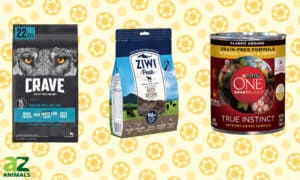 Best Grain-Free Dog Food: Reviewed by Us for You Picture