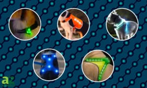 The Best Light-Up Dog Harnesses: Everything You Need to Know Picture