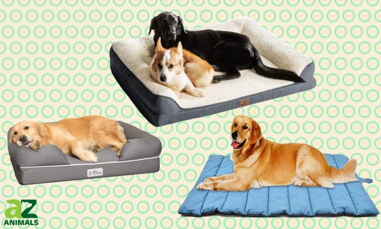 Waterproof Dog Beds