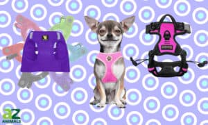 Check Out the Best Puppy Harness: Ranked Picture