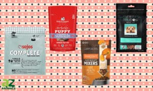 Let’s Review the Best Freeze-Dried Dog Foods Picture