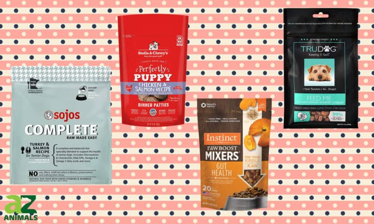 Best Freeze-Dried Dog Foods