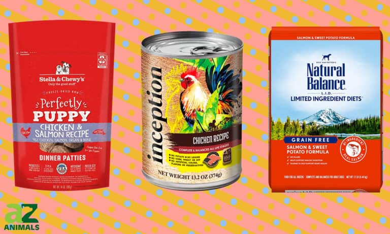 Legume-Free Dog Foods