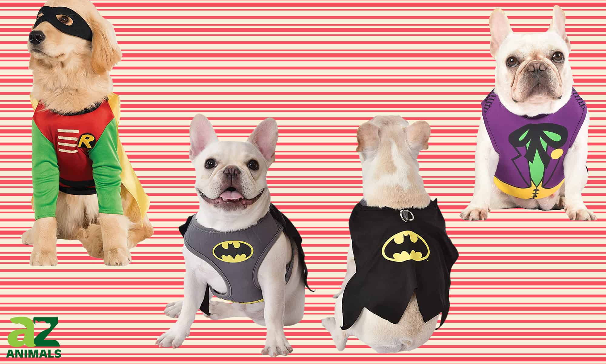 DC Comics Batman Dog Costume, Size Small L