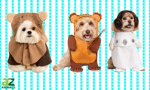The Best Ewok Dog Costumes Picture