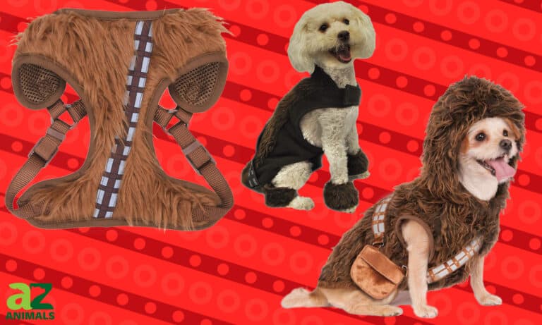 Chewbacca Dog Costumes