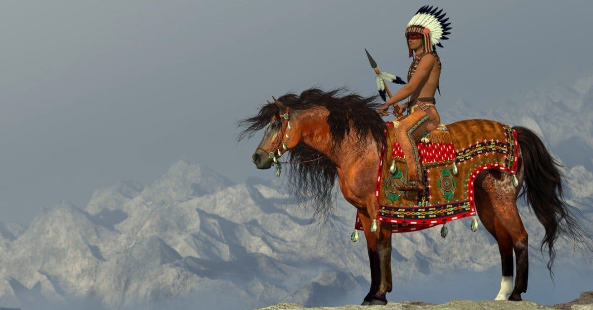 Strong Enough to Survive The 10 Weakest Animals in the World IMP WORLD