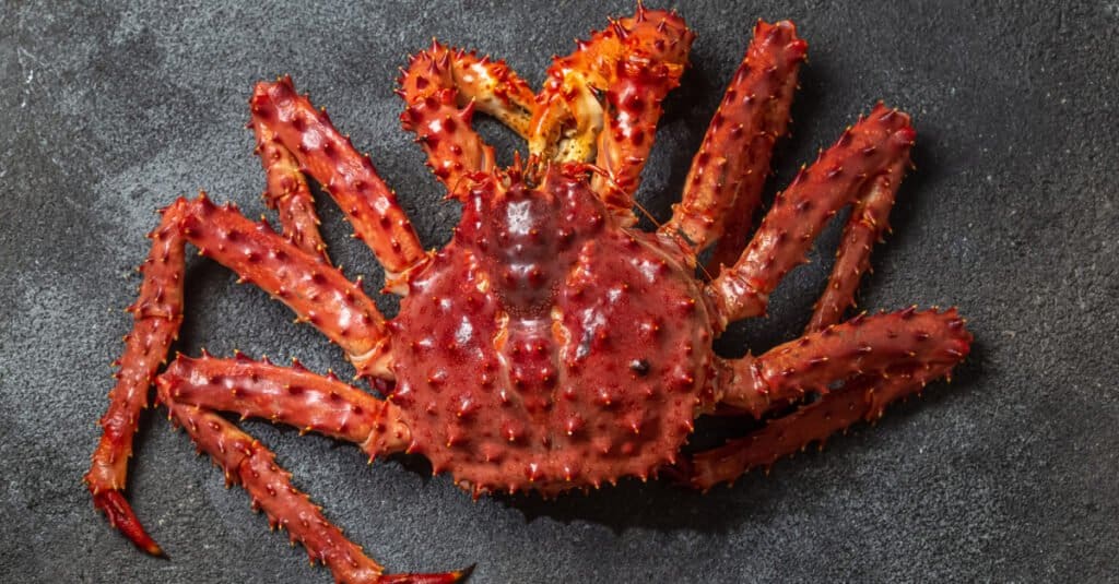 King Crab Market Prices in 2024 What to Expect When Buying