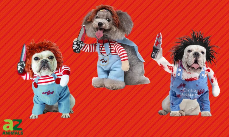 Chucky Dog Costumes
