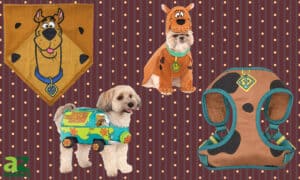 The Best Scooby Doo Dog Costumes: Reviewed by Us for You Picture
