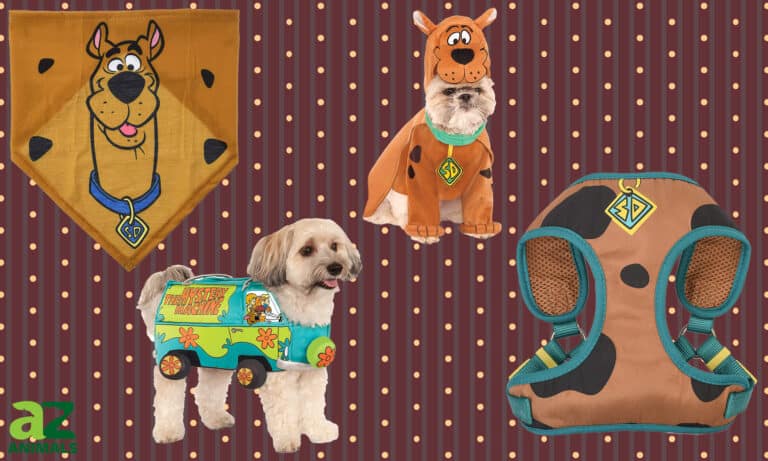 Scooby Doo Dog Costumes